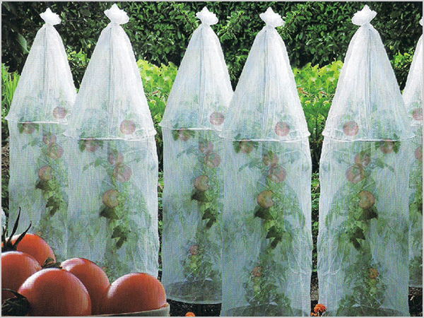 農業無紡布-遮陽、防蟲罩_看圖王.jpg 農業無紡布-遮陽、防蟲罩_看圖王.jpg