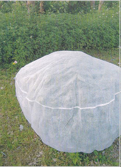 15919479863112226.jpg 15919479863112226.jpg